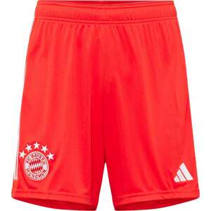 ADIDAS PERFORMANCE Sportovní kalhoty 'FC Bayern München 23/24' červená / bílá