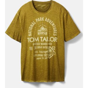 TOM TAILOR Men + Tričko béžová / olivová