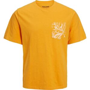 JACK & JONES Tričko 'Crayon' oranžová / bílá