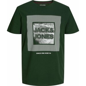 JACK & JONES Tričko 'STEIN' tmavě zelená / bílá