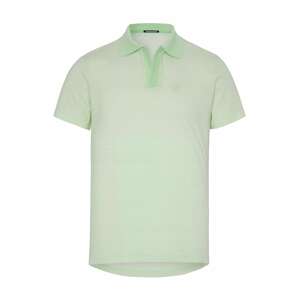Tričko Chiemsee světle zelená / bílá