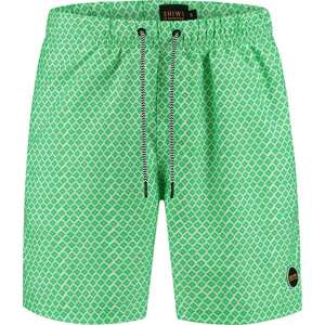 Plavecké šortky Shiwi zelená