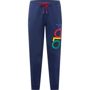 Kalhoty Polo Ralph Lauren námořnická modř / mix barev
