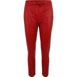 Kalhoty 'GIFT' OAKWOOD tmavě červená