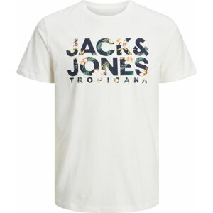 Tričko 'BECS' jack & jones námořnická modř / světle zelená / bílá