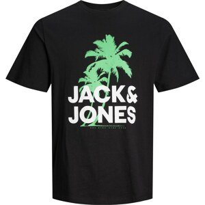 Tričko 'WAVY' jack & jones zelená / černá / bílá