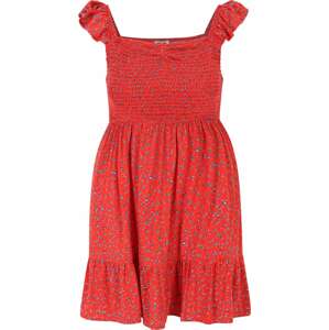 Letní šaty 'Morgan' Cotton On Petite tmavě modrá / červená / bílá