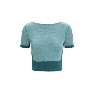 ICEBREAKER Funkční tričko smaragdová / zelený melír / pastelová fialová