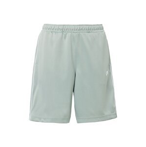 Nike Sportswear Kalhoty pastelově zelená / bílá