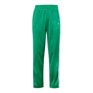 BJÖRN BORG Sportovní kalhoty 'ACE' zelená / bílá
