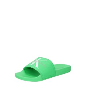 Calvin Klein Pantofle  trávově zelená / bílá / stříbrná