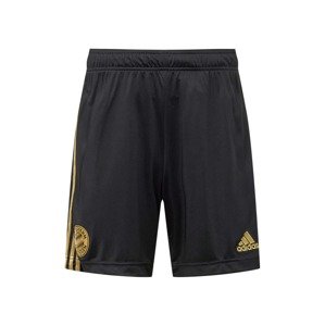 ADIDAS PERFORMANCE Sportovní kalhoty 'FC Bayern München'  zlatá / černá
