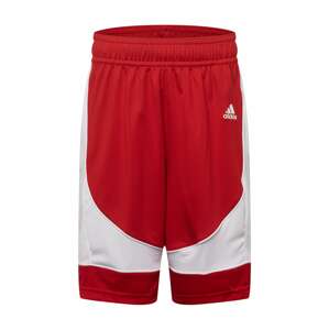ADIDAS SPORTSWEAR Sportovní kalhoty 'N3XT L3V3L' ohnivá červená / bílá