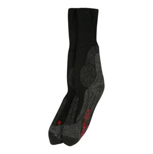 FALKE Sportovní ponožky 'TK1'  černá