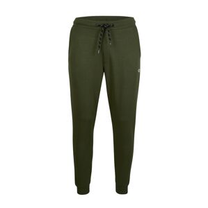 O'NEILL Kalhoty  zelená / černá / bílá