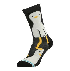 Stance Socken 'PENNY THE PIGEON'  černá / bílá / žlutá / tyrkysová