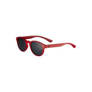 Polo Ralph Lauren Sluneční brýle '0PH4176'  červená / černá