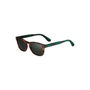 Polo Ralph Lauren Sluneční brýle '0PH4170'  zelená / černá / hnědá