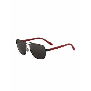 Polo Ralph Lauren Sluneční brýle '0PH3138'  černá / červená