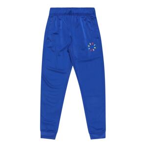 ADIDAS ORIGINALS Kalhoty  modrá / mix barev