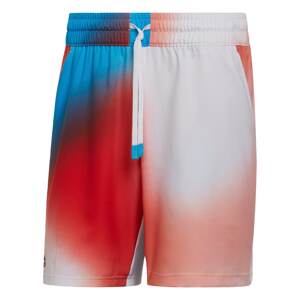 ADIDAS PERFORMANCE Sportovní kalhoty 'Melbourne Tennis Ergo'  mix barev