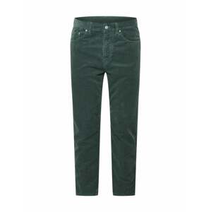 Carhartt WIP Kalhoty 'Newel'  zelená