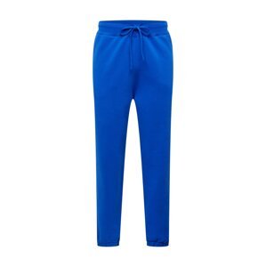 Polo Ralph Lauren Kalhoty námořnická modř / královská modrá