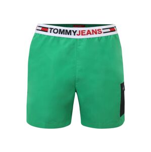 Tommy Hilfiger Underwear Plavecké šortky  noční modrá / zelená / červená / bílá