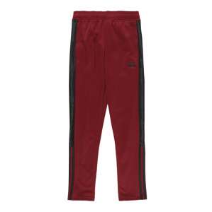 ADIDAS PERFORMANCE Sportovní kalhoty 'Tiro'  červená / černá / šedá