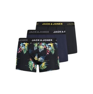 JACK & JONES Boxerky 'STAYCAY'  modrá / mix barev / černá