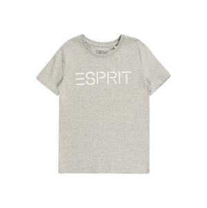 ESPRIT Tričko  bílá / šedý melír