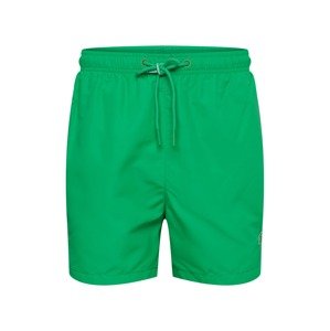 Superdry Plavecké šortky  trávově zelená