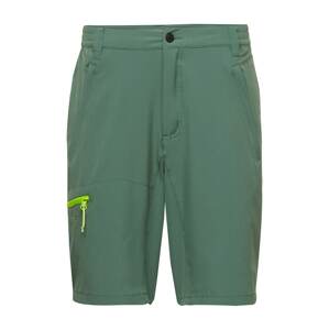 ICEPEAK Outdoorové kalhoty 'BERWYN'  zelená