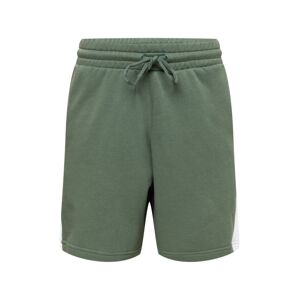 ADIDAS SPORTSWEAR Sportovní kalhoty  zelená / bílá