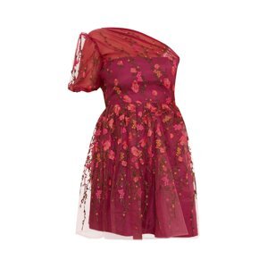 Chi Chi London Šaty  mix barev / červená