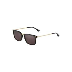 Calvin Klein Sluneční brýle 'CK22512S' zlatá / černá