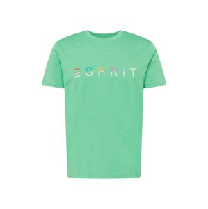 ESPRIT Tričko zelená / mix barev
