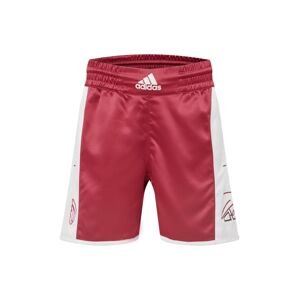 ADIDAS PERFORMANCE Sportovní kalhoty 'DAME'  tmavě červená / černá / bílá